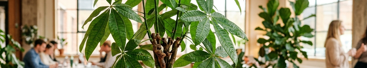 ForSummerColumns_3_1200_225.png