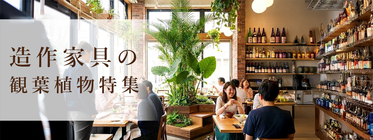 ImageTOP_PlantsOfCustomFurniture.png