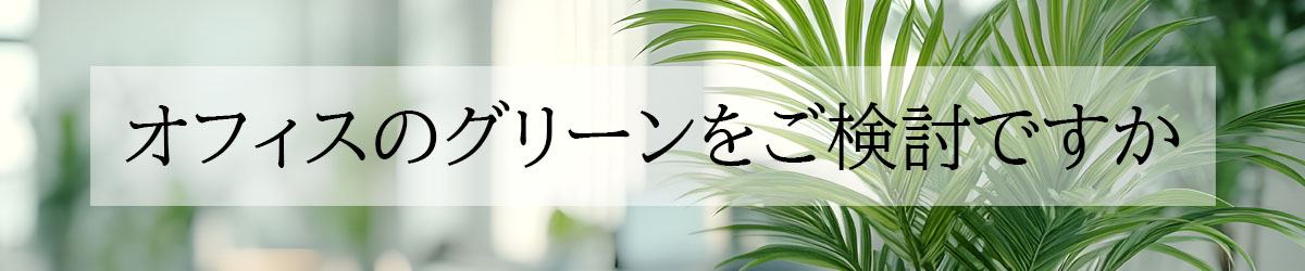 TopBannerAboutOfficeGreen1200_250.jpg