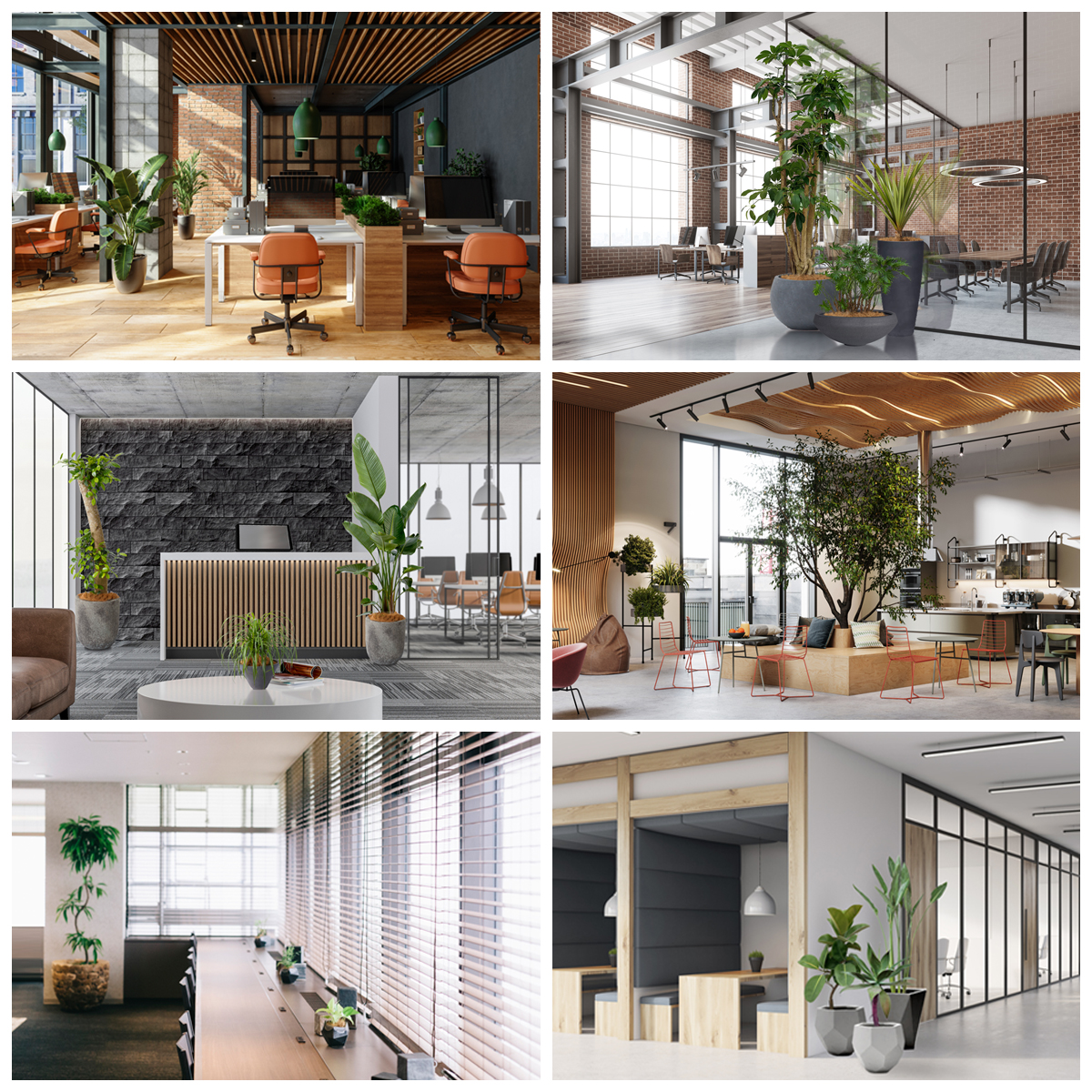 オフィスのそれぞれのスペースが快適であるよう観葉植物を配したイメージ
