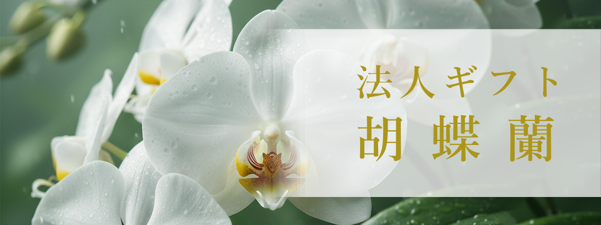 businessgift_phala_banner.png