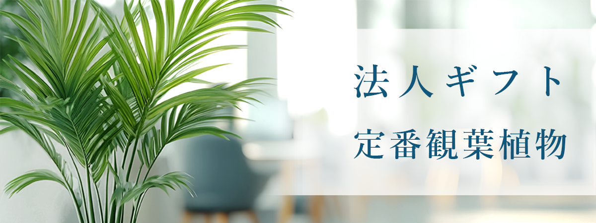businessgift_plants_banner.png