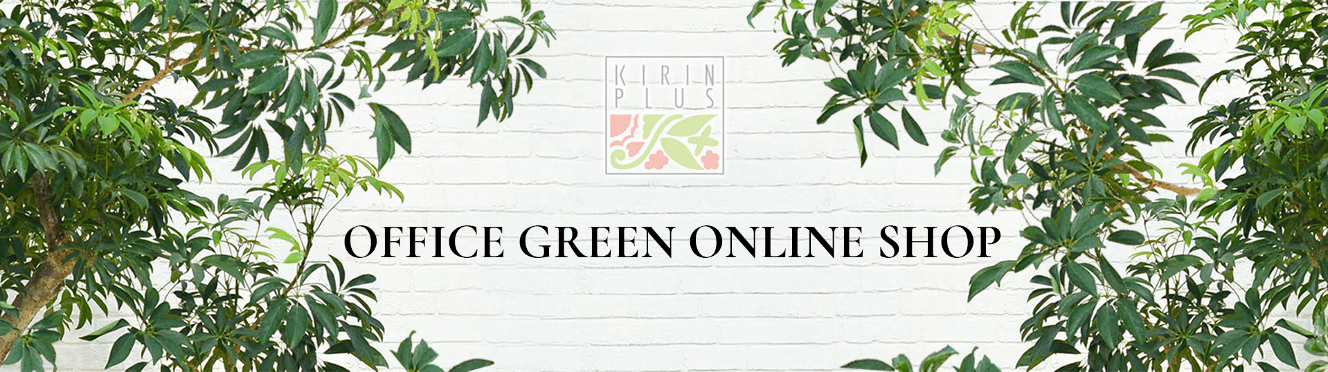 onlineshop -banner.jpg